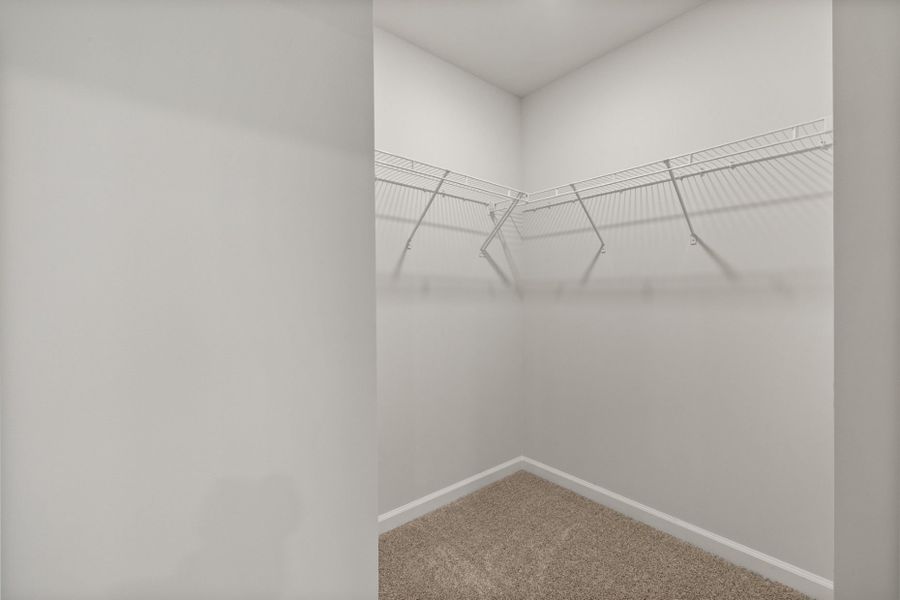 Spacious, unfurnished interior of a new home in Everton, Durham (Image 26).