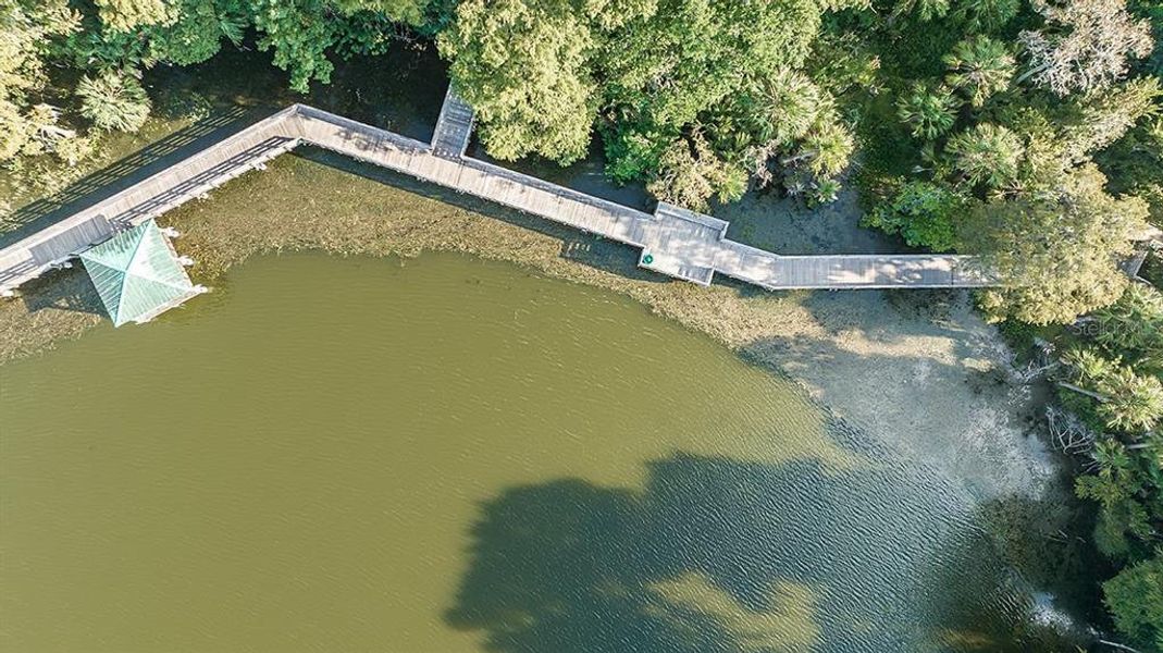 Natural landscape and outdoor views near Southloch in Mount Dora (Image 19).