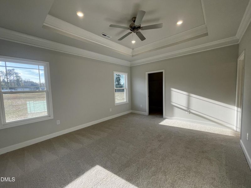 Tray Ceilings and Crown Moulding