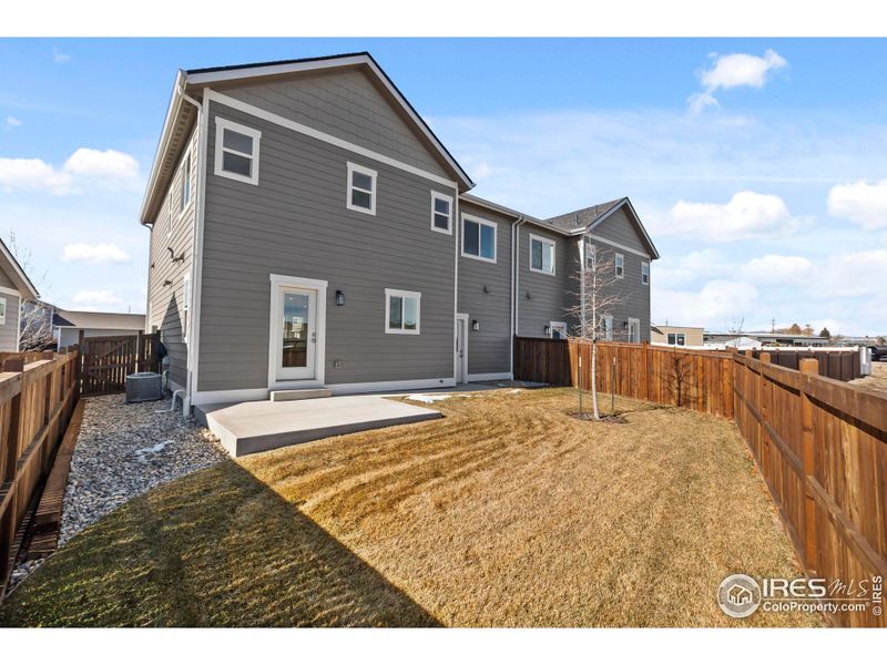 Concrete Back Patio & Landscaped Backyard