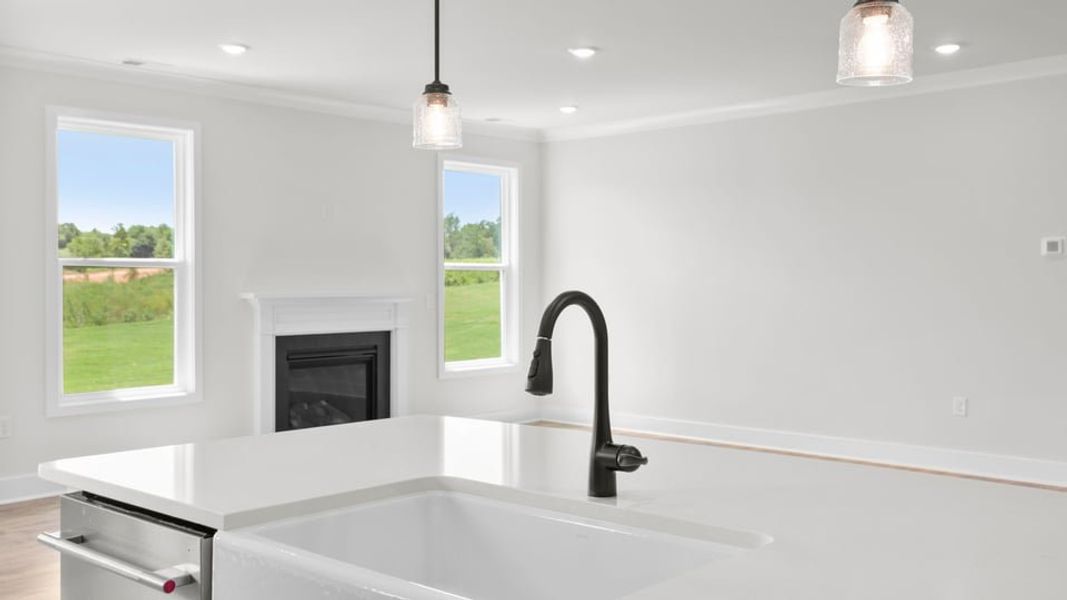 Close-up of interior finishes inside a home in Harrison Valley, Simpsonville (Image 15).