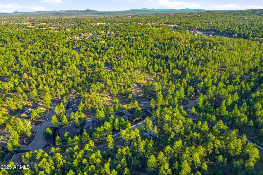 30NBenchCir-ShowLow-AZ-36