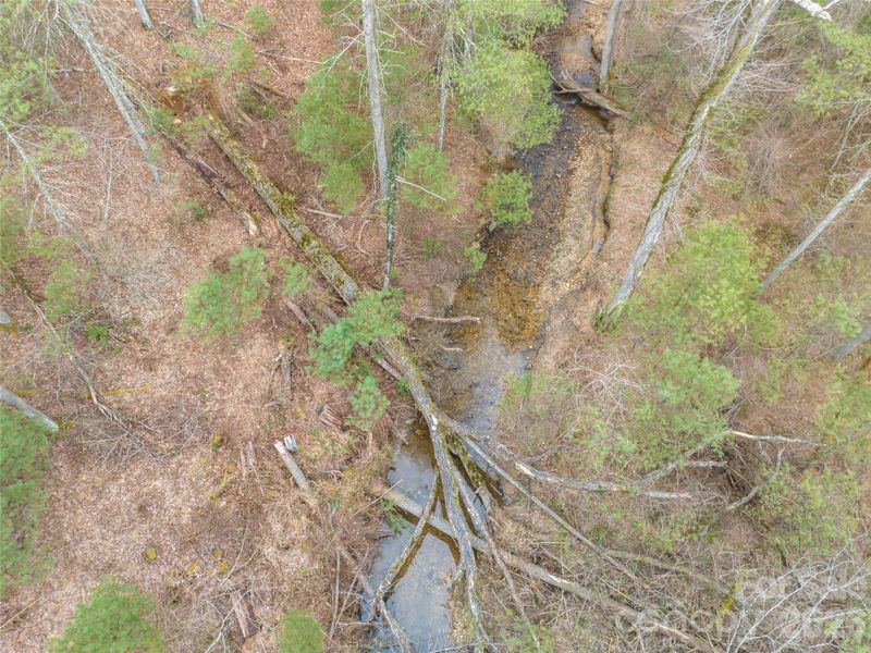 Natural landscape and outdoor views near  in Asheville (Image 36).