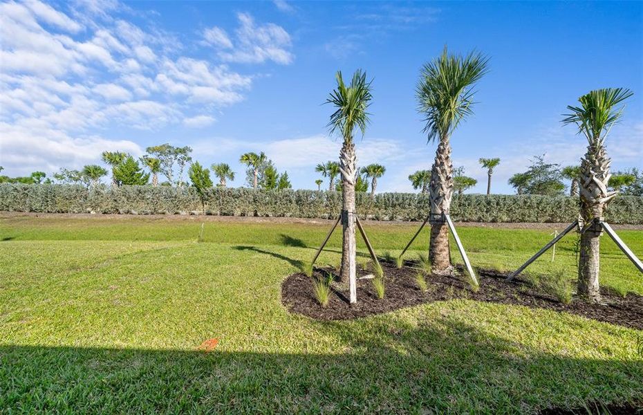 Natural landscape and outdoor views near Reagan Landing in Bradenton (Image 27). Natural landscape and outdoor views near Reagan Landing in Bradenton (Image 27).