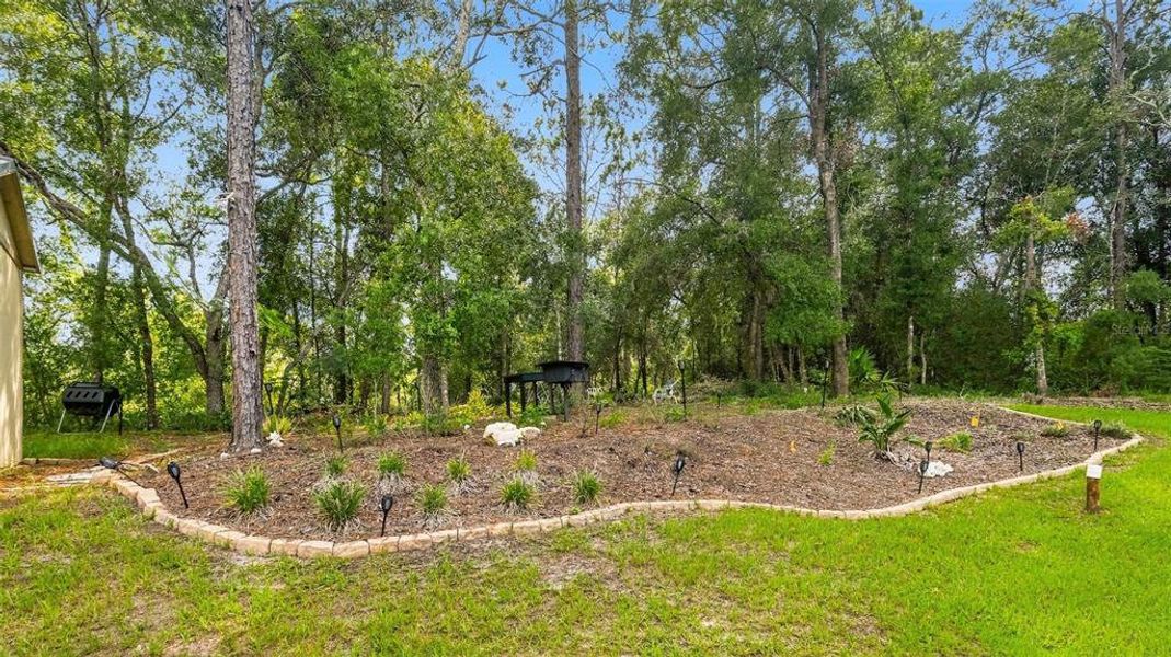Natural landscape and outdoor views near  in Hernando (Image 41).