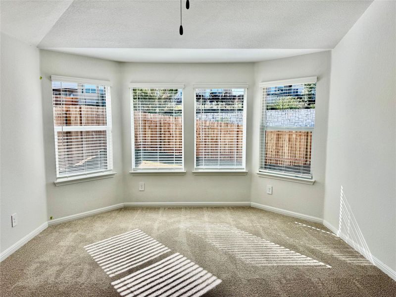 Carpeted empty room with plenty of natural light, a ceiling fan, and a textured ceiling