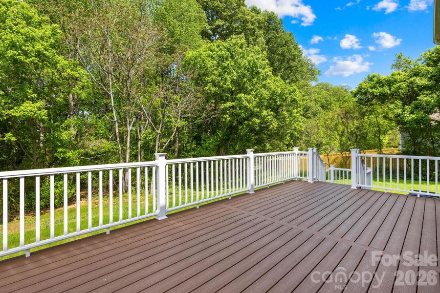 Large Trex deck for entertaining