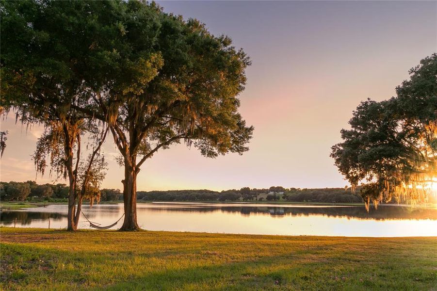 Natural landscape and outdoor views near  in Dade City (Image 11).