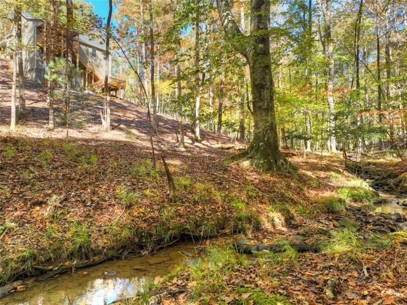 Natural landscape and outdoor views near  in Ellijay (Image 36).