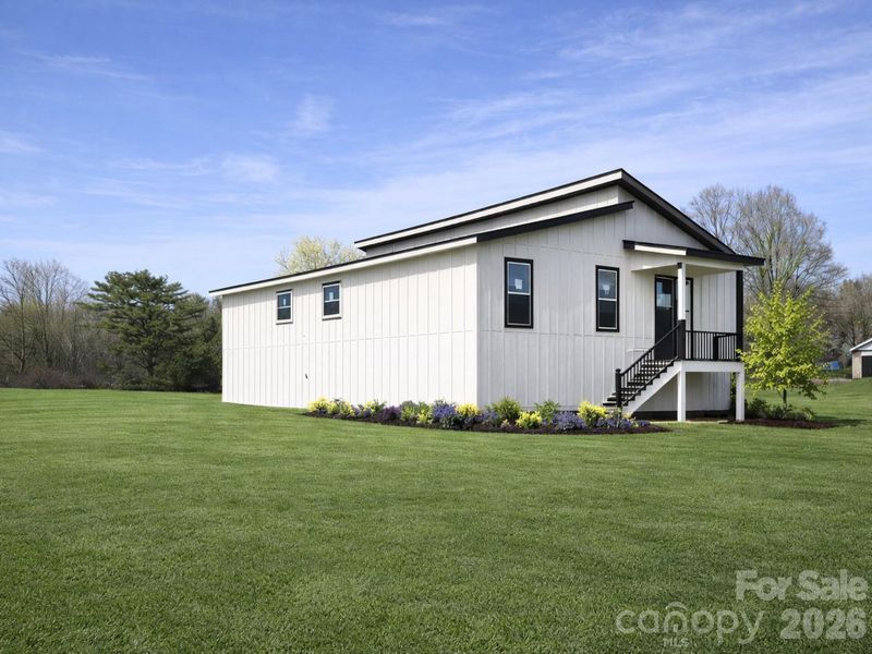 Ai Generated Back Image