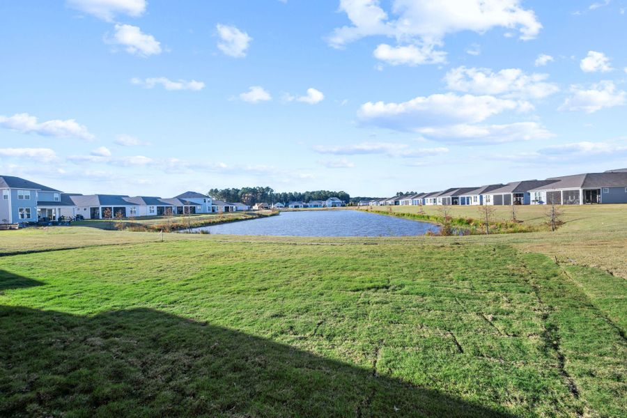 Natural landscape and outdoor views near Sun City Hilton Head in Bluffton (Image 28). Natural landscape and outdoor views near Sun City Hilton Head in Bluffton (Image 28).