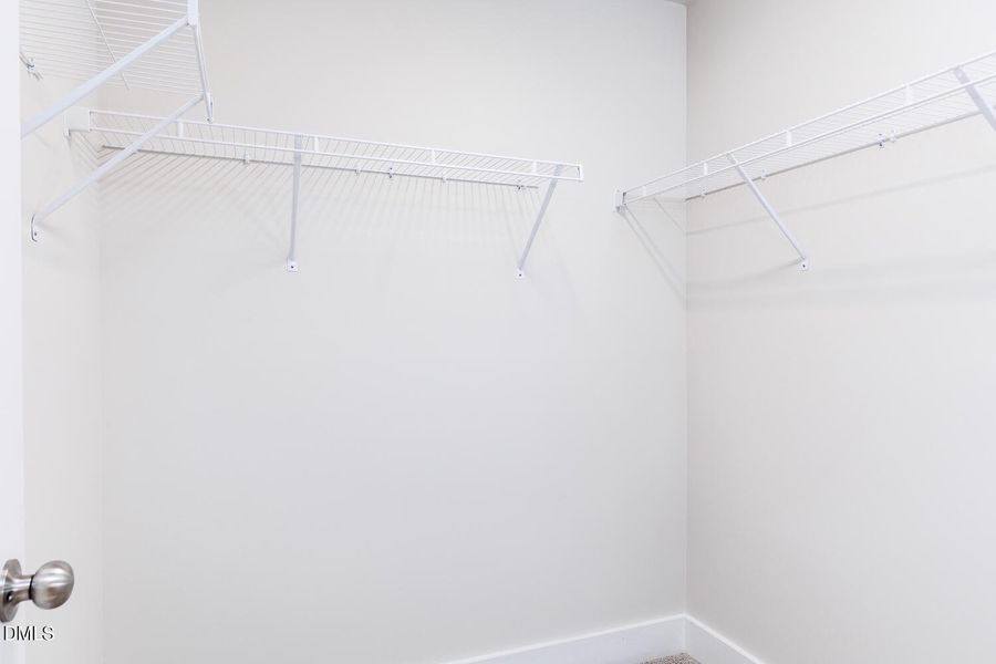 VNF-Lot 49-Aurora (24)