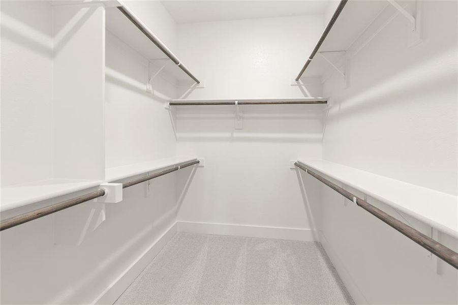 425 Curtiss - Closet 425 Curtiss - Closet