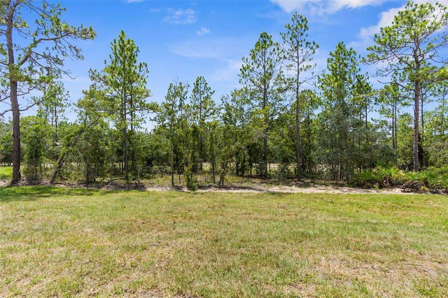 Natural landscape and outdoor views near  in Weeki Wachee (Image 62).