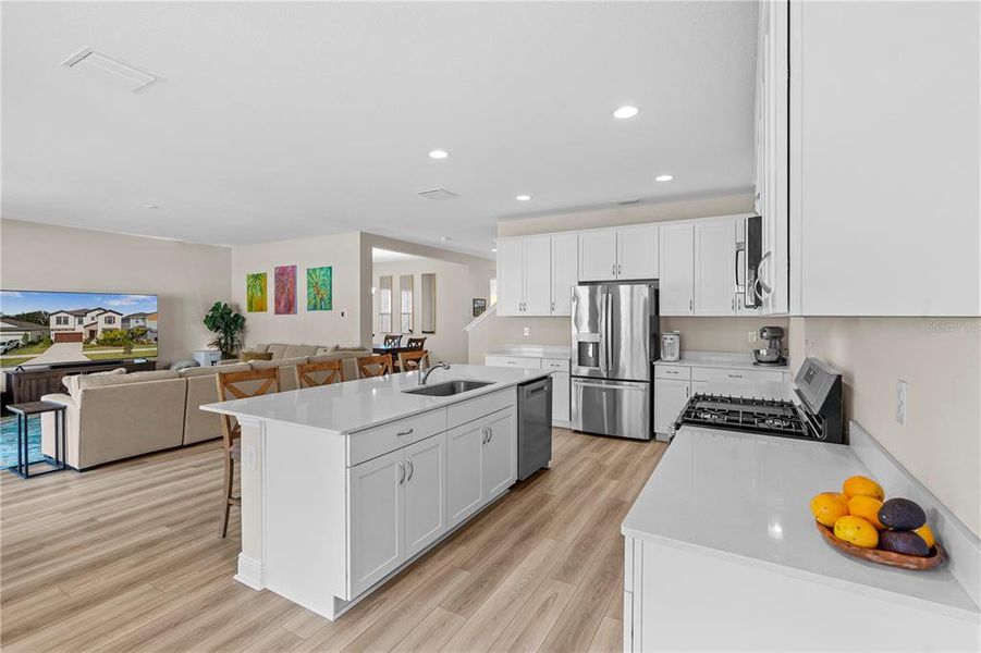 Furnished interior view inside a new home in Hawkstone, Lithia (Image 26).