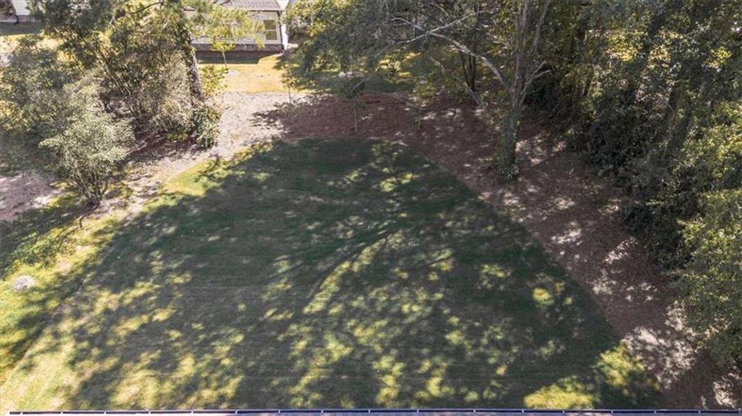 Natural landscape and outdoor views near in Covington (Image 34). Natural landscape and outdoor views near in Covington (Image 34).