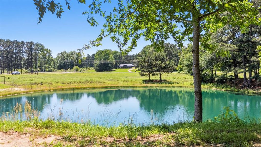 Natural landscape and outdoor views near  in Winona (Image 27).