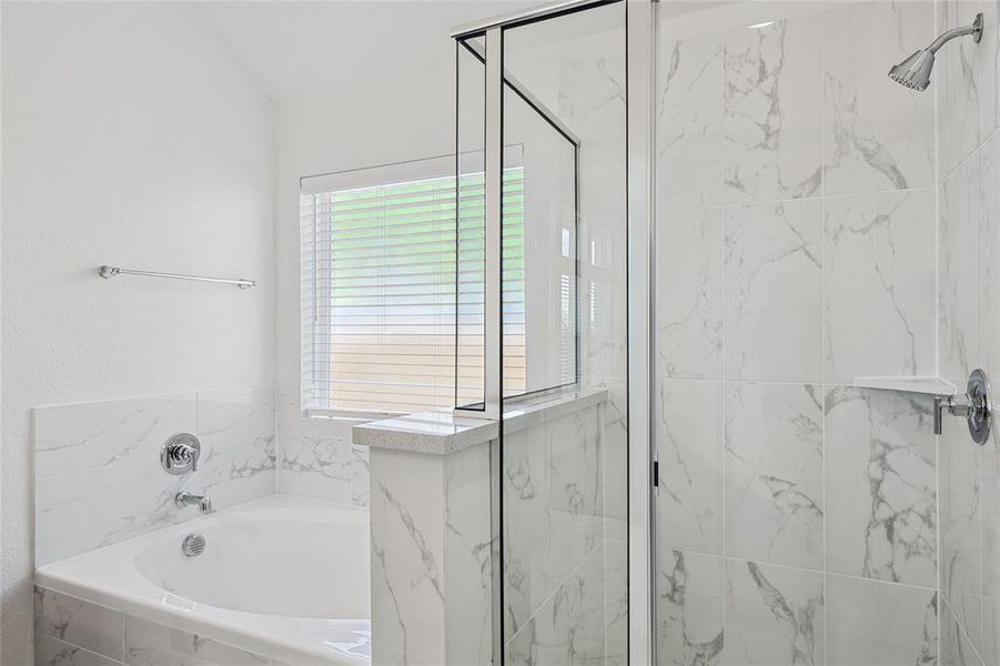 Bathroom with independent shower and bath