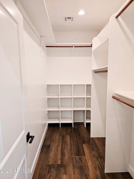 20260110_134240-VSCO 20260110_134240-VSCO