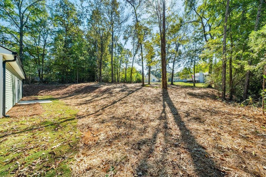 Natural landscape and outdoor views near in Cedartown (Image 34). Natural landscape and outdoor views near in Cedartown (Image 34).