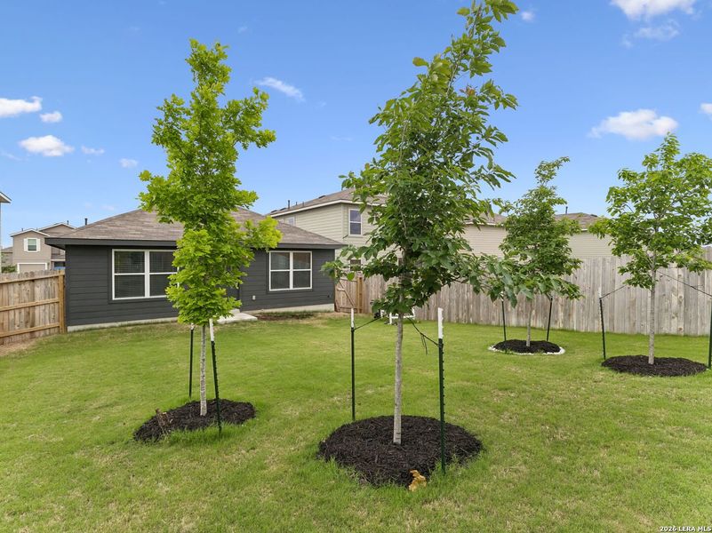 Exterior details and patio area of a home in , San Antonio (Image 4).