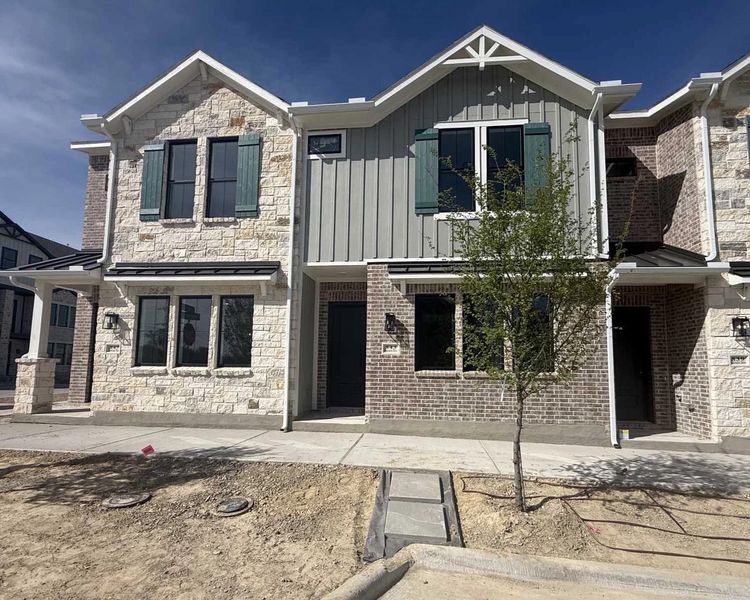 Exterior Design Construction Progress