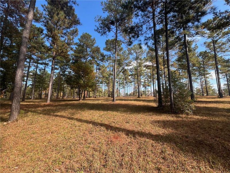 Natural landscape and outdoor views near  in Eatonton (Image 17).