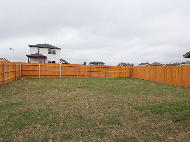 Backyard