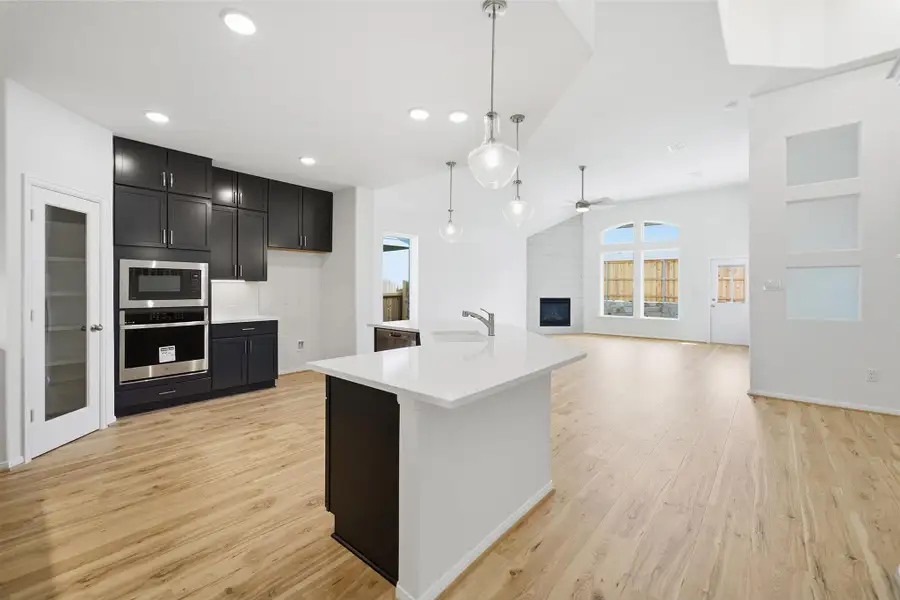 Kitchen with stainless steel appliances, light wood finished floors, a fireplace, open floor plan, and pendant lighting
