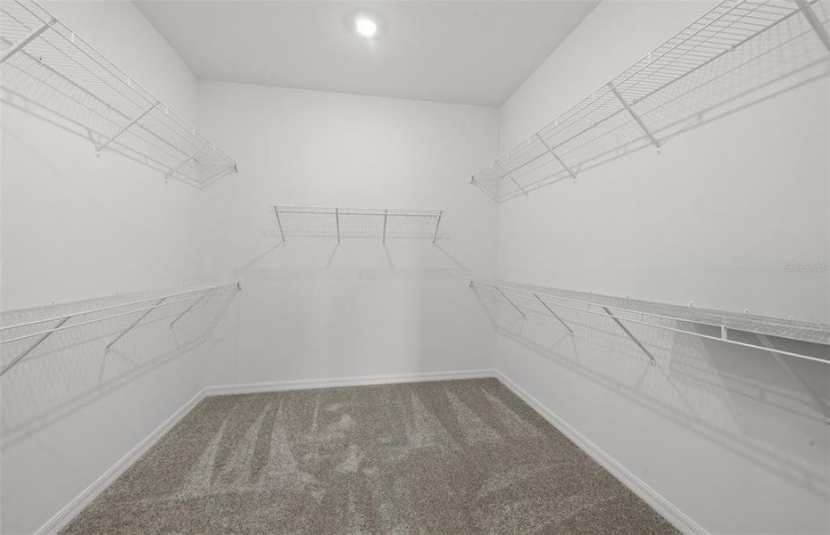 Spacious, unfurnished interior of a new home in The Strand at Cedar Grove, North Port (Image 17).