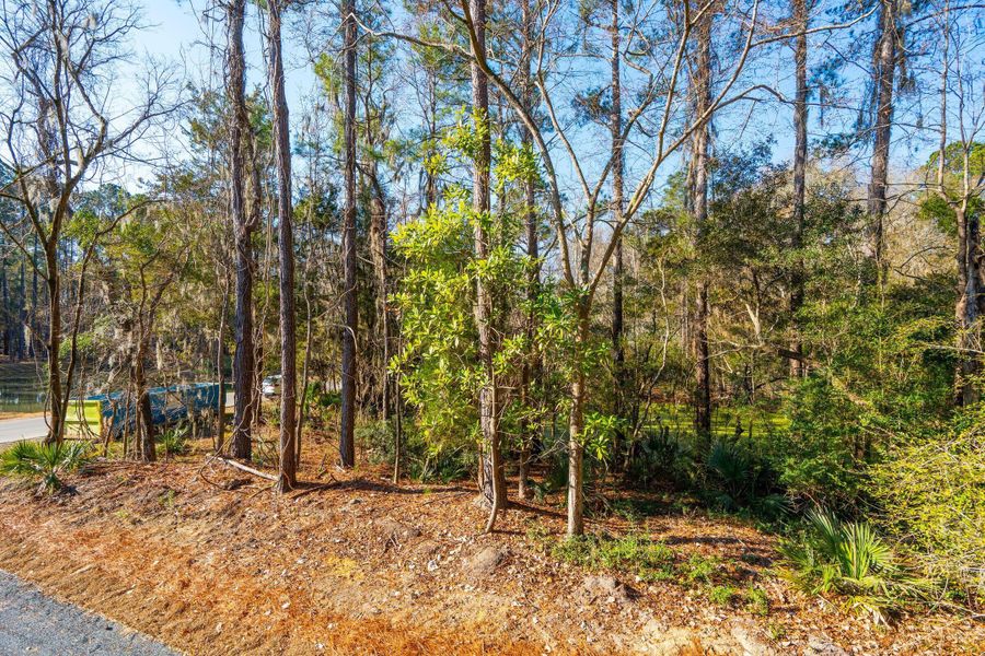 Natural landscape and outdoor views near Waterloo Estates in Johns Island (Image 80).