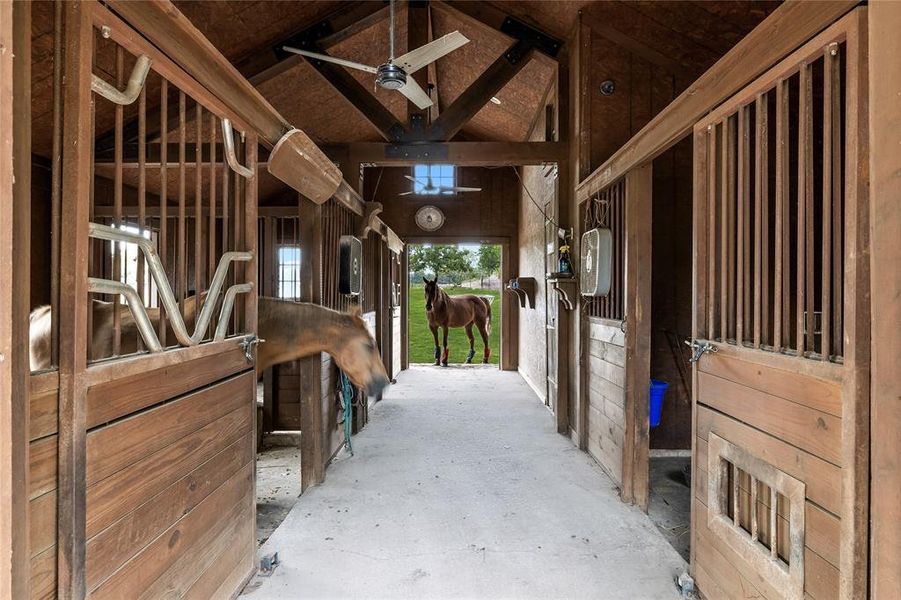 View of horse barn