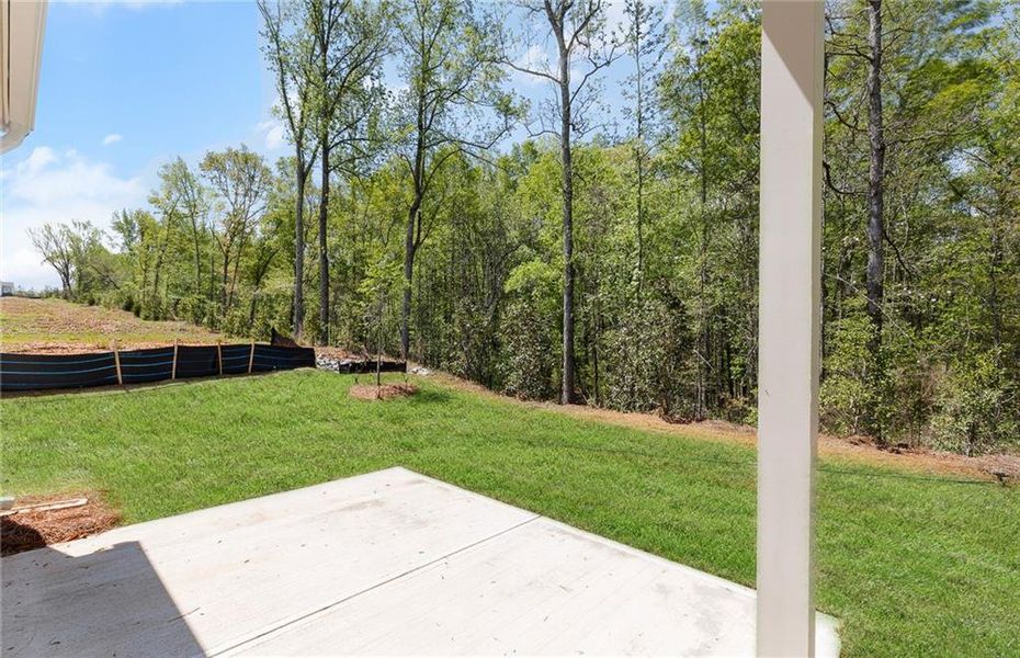 Exterior details and patio area of a home in Reunion, Flowery Branch (Image 26).