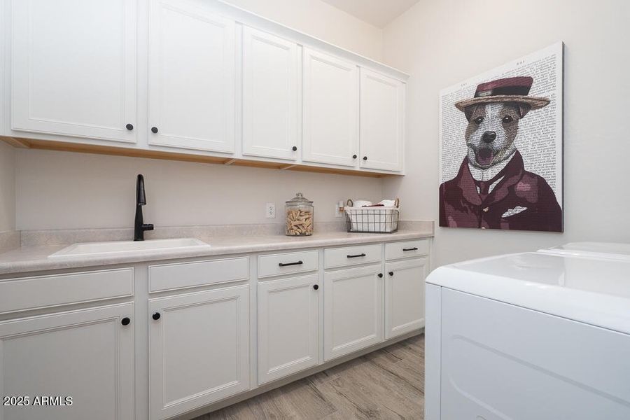 Tri Pointe Bella Vista 54 - Laundry-1MLS