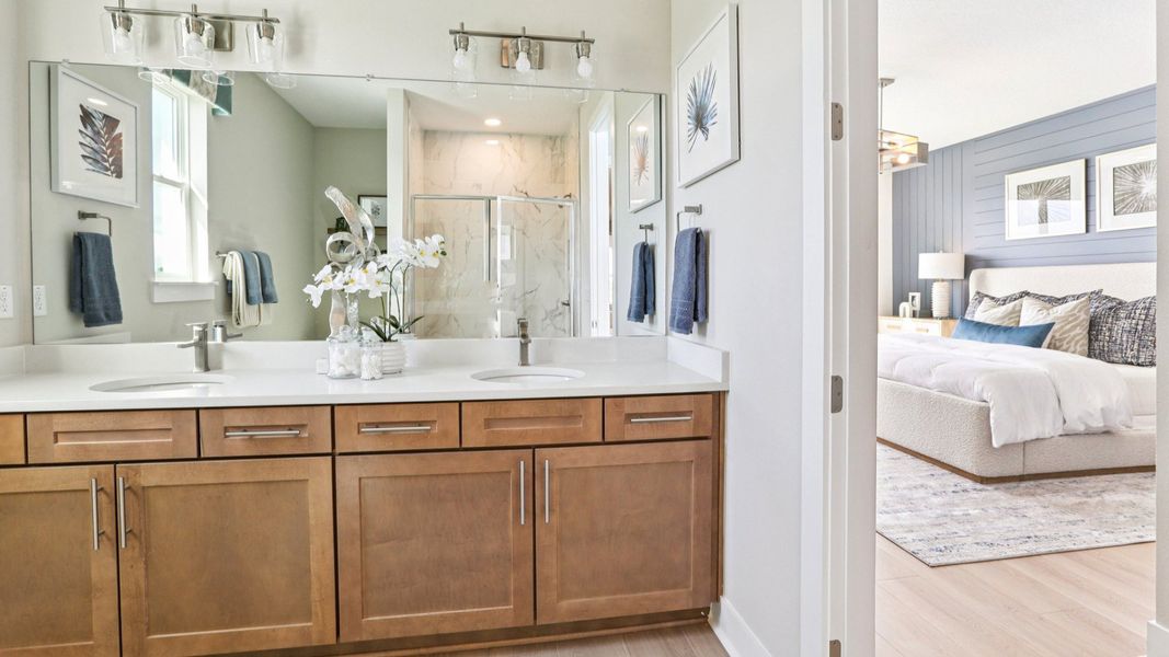 The Primary Bathroom The Primary Bathroom