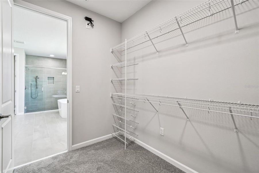 Spacious, unfurnished interior of a new home in Hawk's Overlook, Oviedo (Image 41). Spacious, unfurnished interior of a new home in Hawk's Overlook, Oviedo (Image 41).