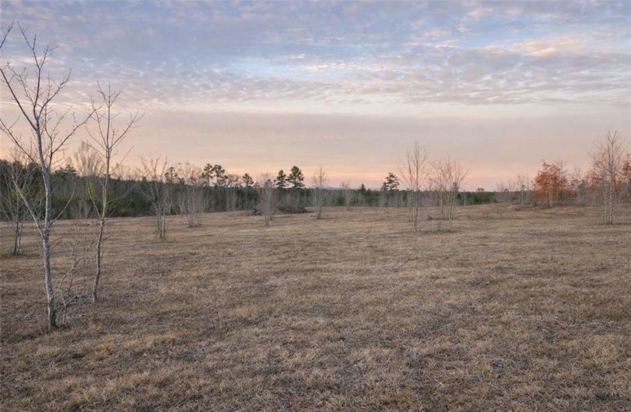 Natural landscape and outdoor views near  in Cave Spring (Image 31).