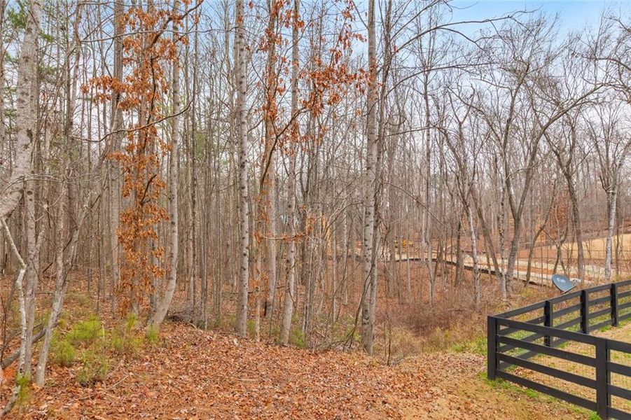 Natural landscape and outdoor views near  in Woodstock (Image 59).