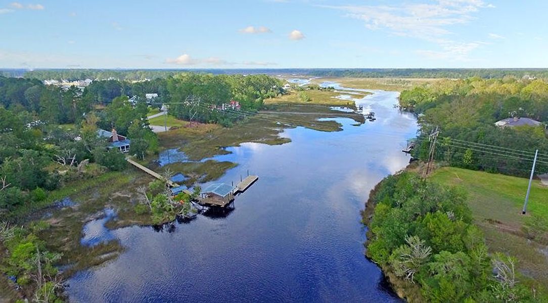 Natural landscape and outdoor views near  in Ravenel (Image 47).