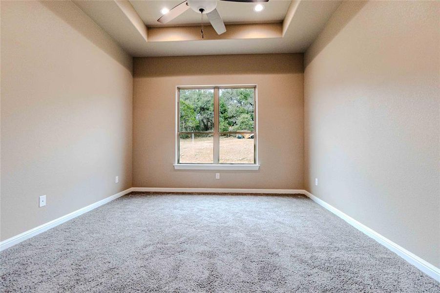 Spare room featuring ceiling fan, carpet flooring, and a raised ceiling