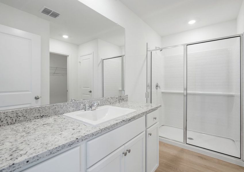 Master bathroom with a step-in shower