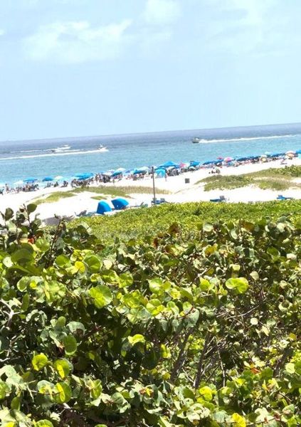 View from the balcony.