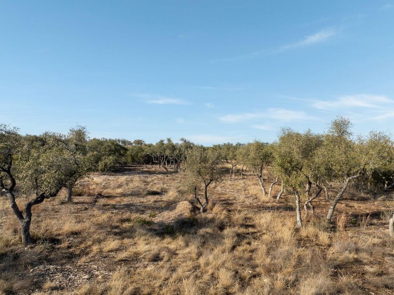 Natural landscape and outdoor views near  in Dripping Springs (Image 22).
