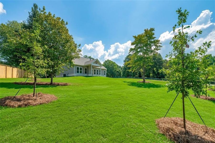 Natural landscape and outdoor views near  in Gainesville (Image 24).