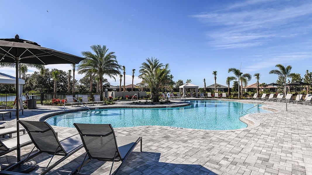 Community amenities in Skye Ranch Community Group Page, Sarasota (Image 45).