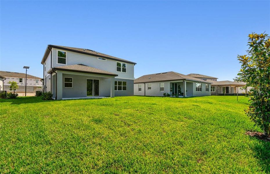 Spacious Backyard Spacious Backyard