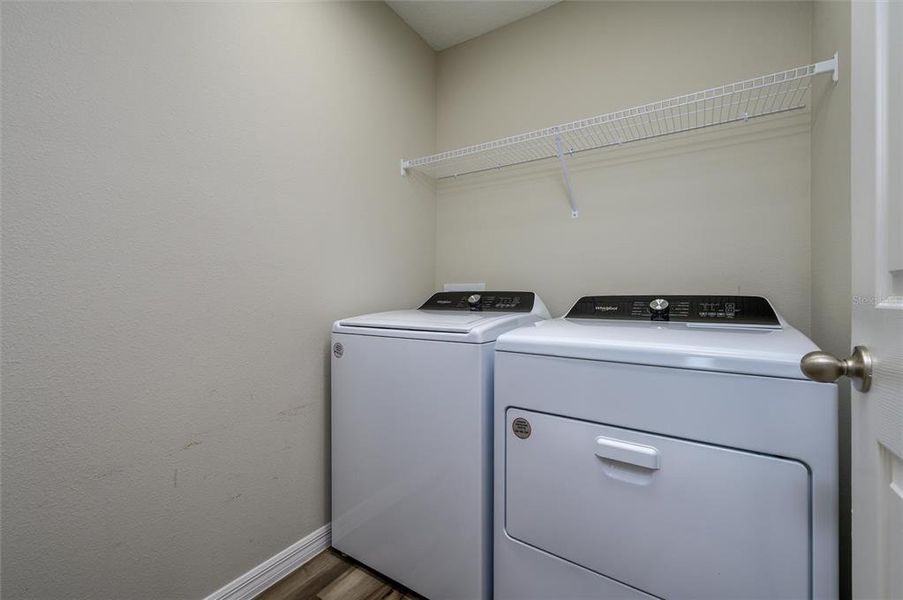 Close-up of interior finishes inside a home in Pasadena Point, Wesley Chapel (Image 10). Close-up of interior finishes inside a home in Pasadena Point, Wesley Chapel (Image 10).