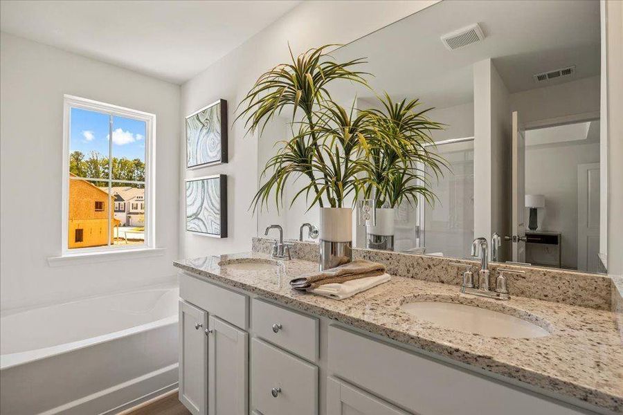 Furnished interior view inside a new home in , Conyers (Image 26). Furnished interior view inside a new home in , Conyers (Image 26).