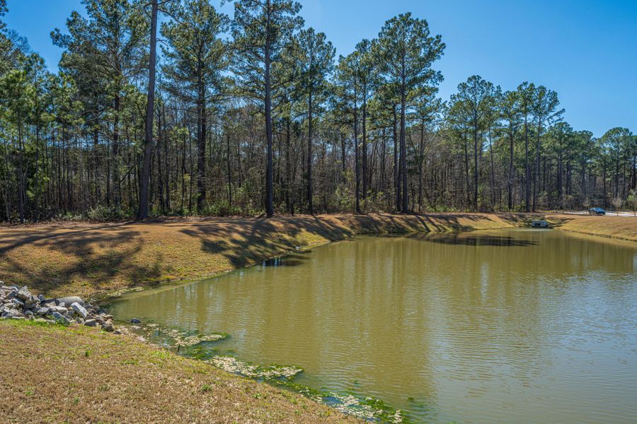 Natural landscape and outdoor views near in Charleston (Image 31). Natural landscape and outdoor views near in Charleston (Image 31).