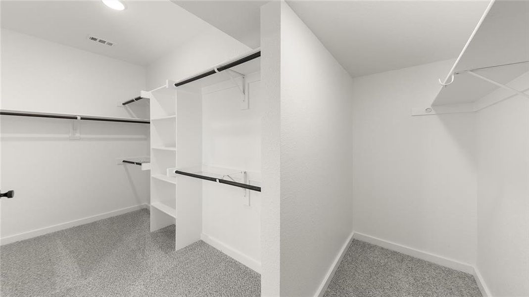 2025 Kit Fox  Closet